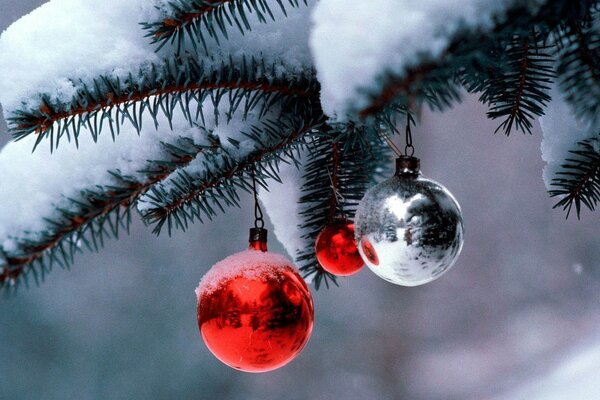 Bolas en la rama Nevada del árbol de Navidad