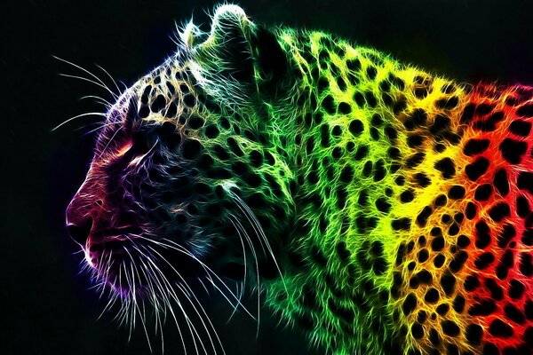 Tigre nella colorazione spettacolare di notte