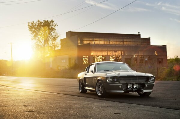 Silberner Ford shelby eleanor gt500 in Sonnenglanz