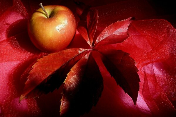 Apfel und rotes Blatt auf einem scharlachroten Hintergrund