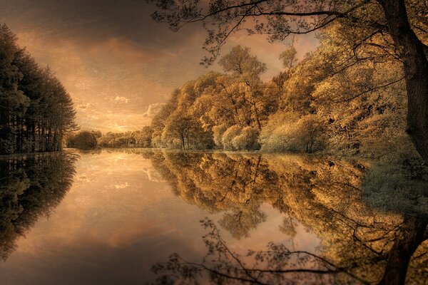 Das Muster der Natur in der Verarbeitung ist wunderbar!