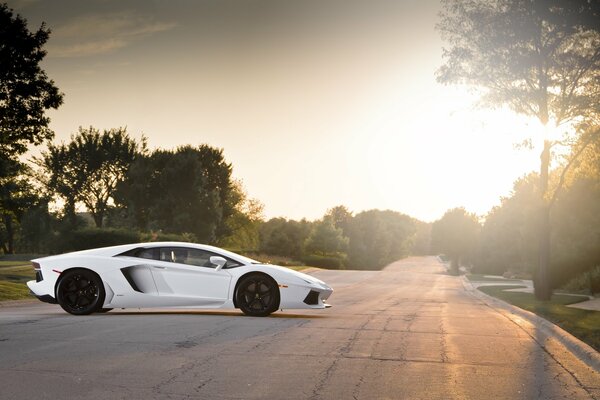 Lamborghini aventador lp700-4 blanc avec des disques noirs près de la route au coucher du soleil