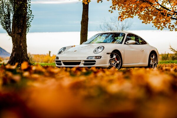 Porsche blanco rodeado de hojas de otoño