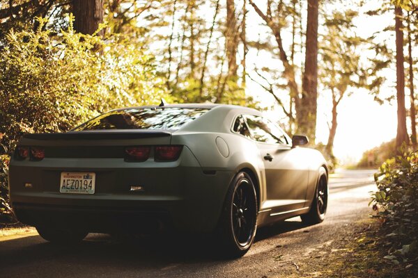 Chevrolet Camaro negro. Night Racer