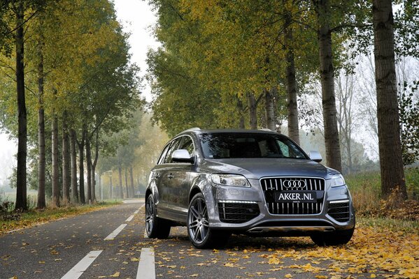 Jeep gris audi q7 en el bosque de otoño