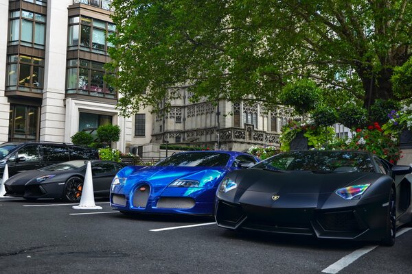 Several supercars in the parking lot under a tree