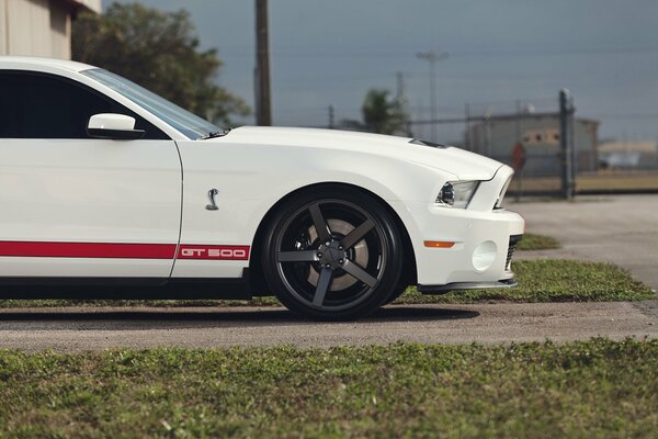 Ford Mustnag gt500 white with red stripes on the road