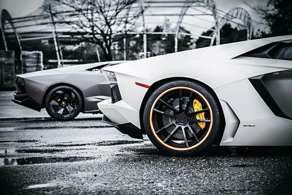 Voiture blanche lambofghini. Élégant tuning