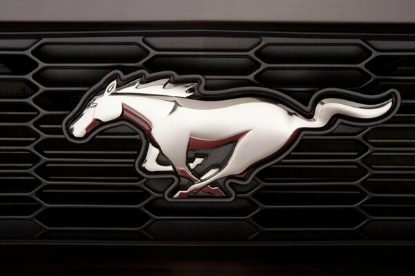 Mustang emblem on Ford radiator