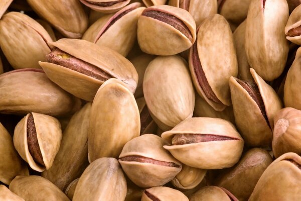 Favorite pistachios in the world of macro photography