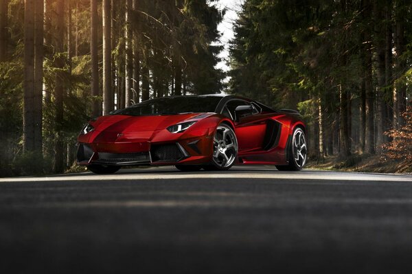 Carmesí Lamborghini Aventador en el camino forestal