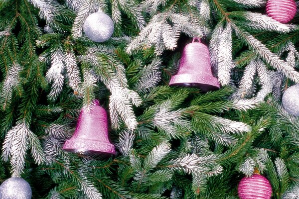 Cloches et boules sur une branche enneigée