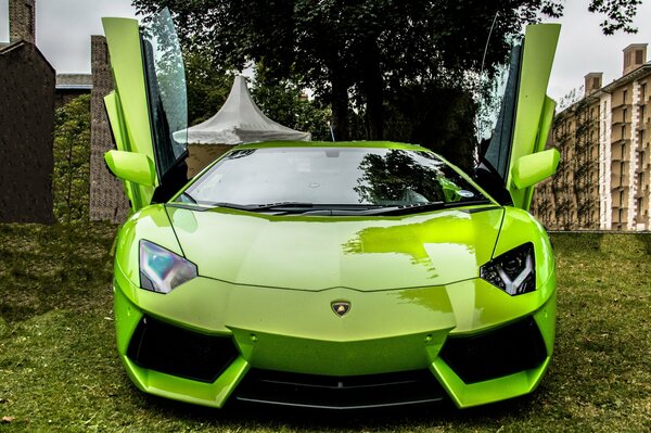 Green sports car with the doors open up