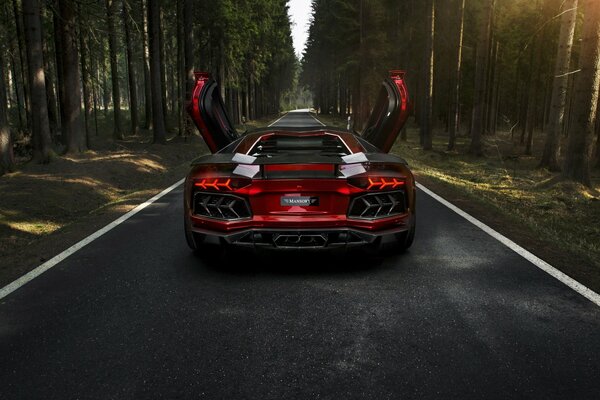 Red Lamborghini with raised doors. On the road in the forest