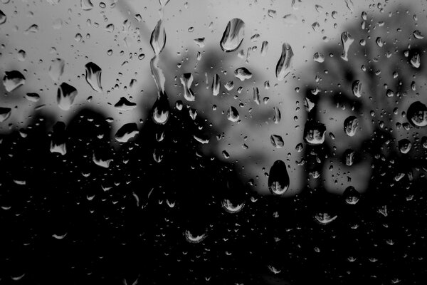 Drops on glass black and white photo