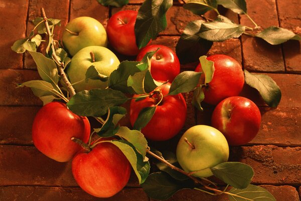 Jugosa cosecha de manzanas de otoño