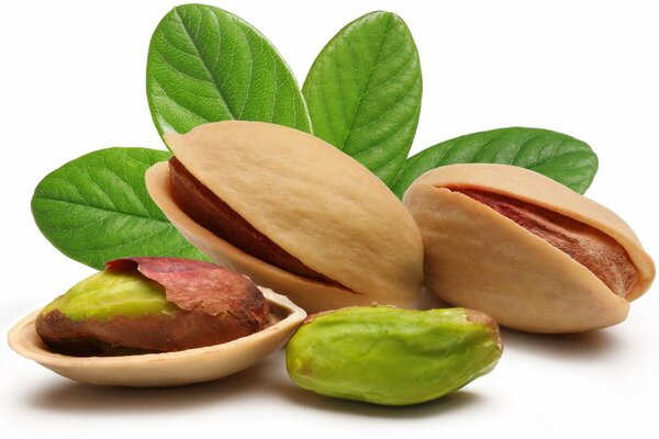 Deliciosas nueces de pistacho con hojas verdes