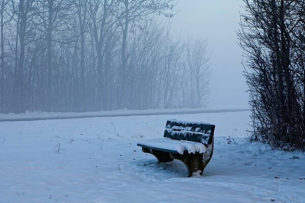 A snow-covered bench in a foggy park