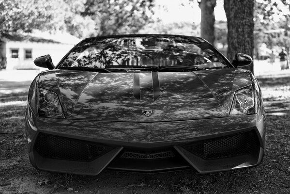 Czarno-biały supersamochód lamborghini gallardo