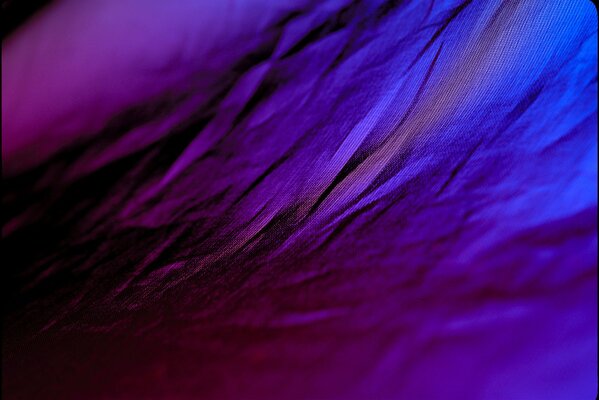 Violet-lilac abstract texture