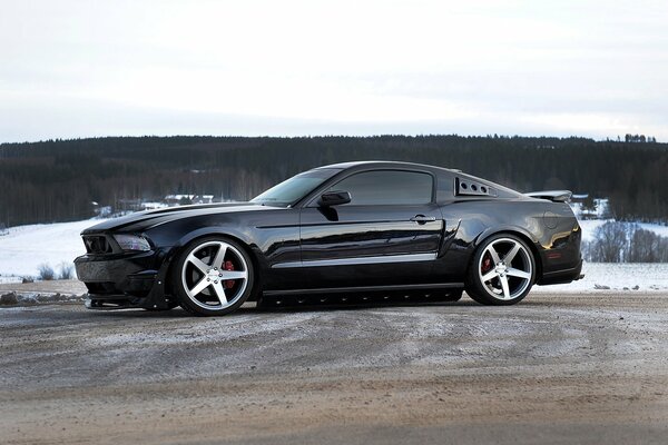 Horizontal view of the black mustang