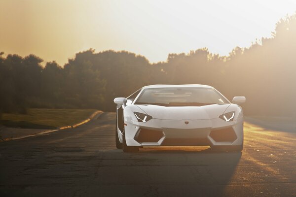 Weißer Lamborghini aventador lp700-4 auf der Straße bei Sonnenuntergang