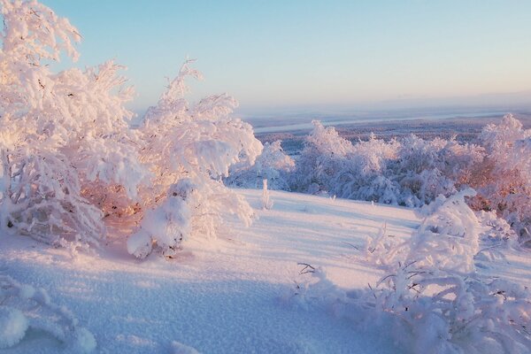 A sunny day in a snowy landscape