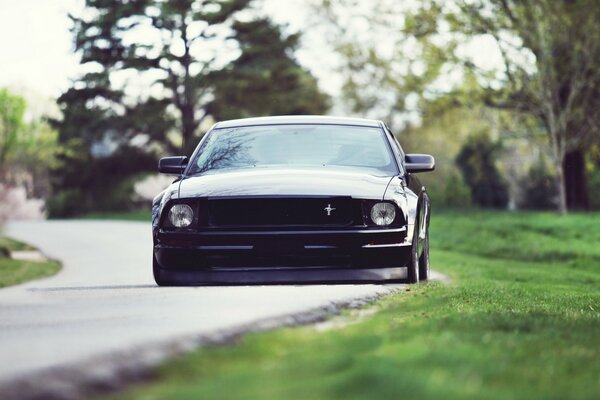 Un Ford Mustang discreto en la carretera