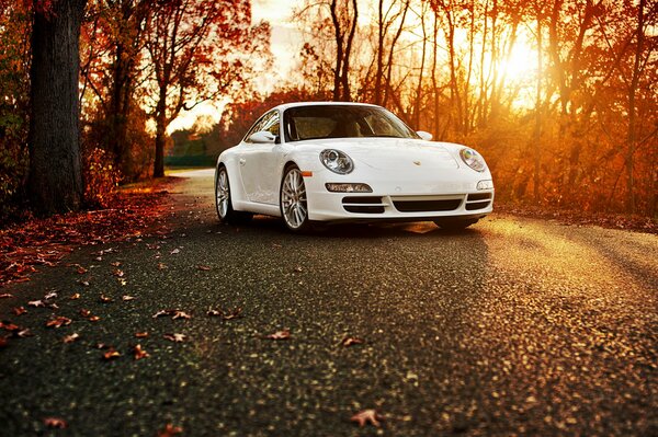 Porsche carrera blanco en otoño en el asfalto