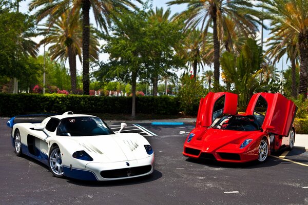 Coche blanco y rojo cerca de las palmeras