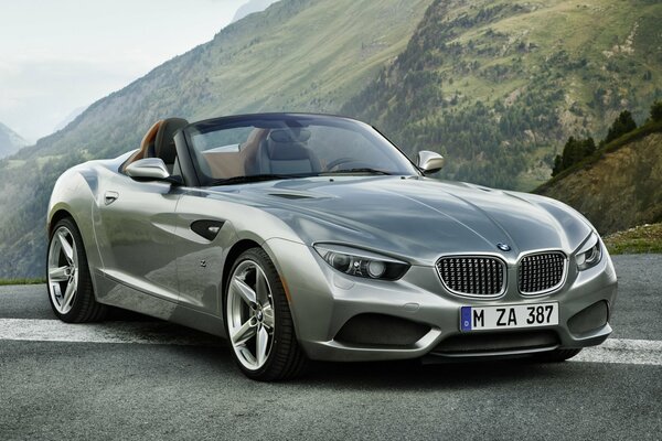 BMW argent dans les montagnes sous le ciel bleu