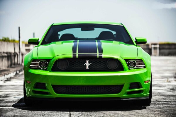 Green Ford Mustang with black stripes