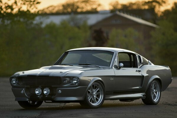 The ford shelby gt 500 car stands against the sunset