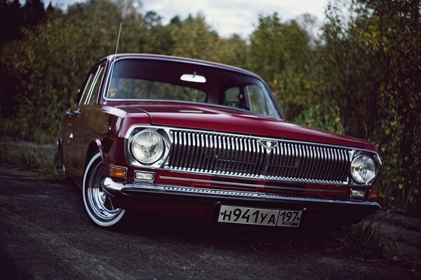 Volga Gaz-24 classic on a bush background