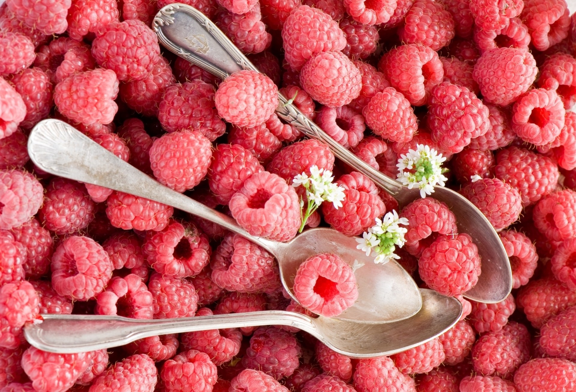 berries raspberry flower spoon