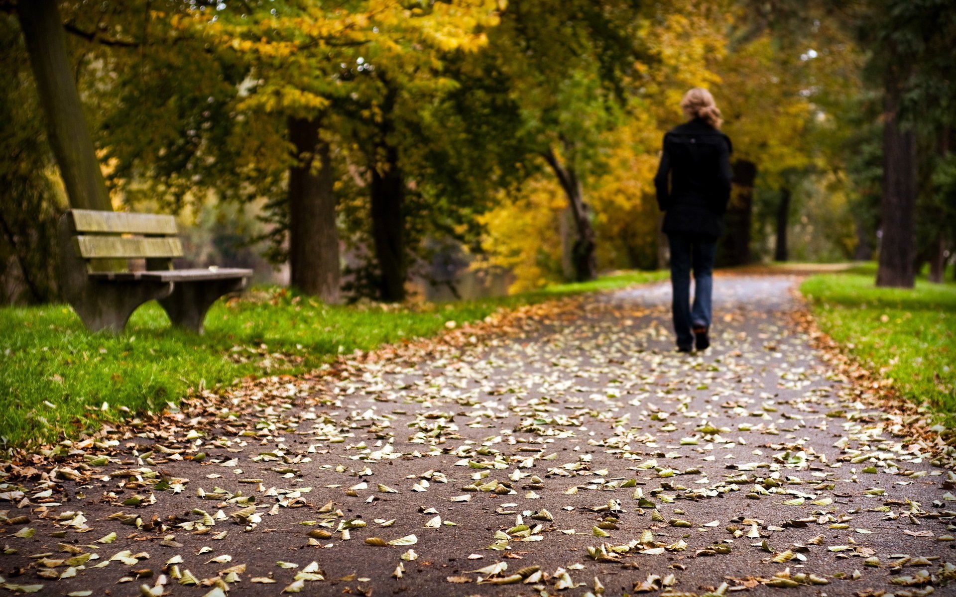 humeur parc feuilles route