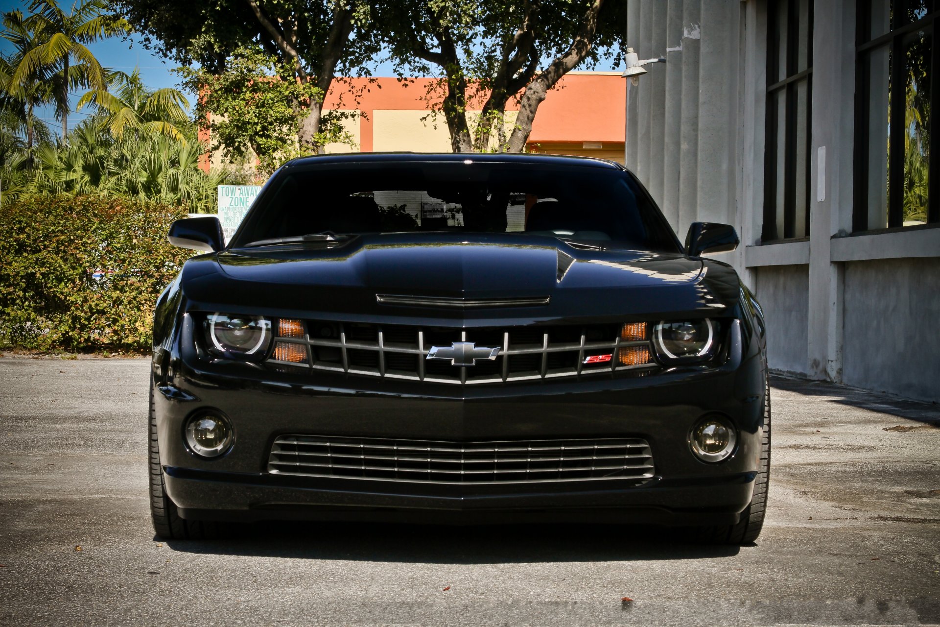 chevrolet camaro ss черный улица шевроле камаро сс тонировка здание окна небо деревья кустарник