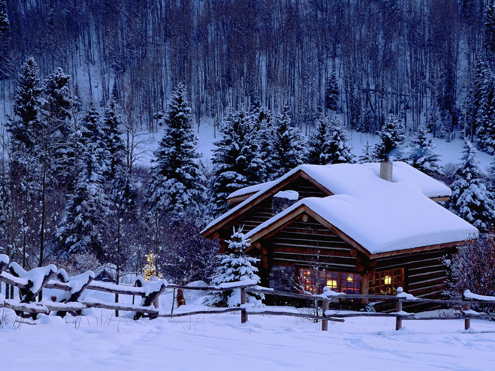 neujahr weihnachtsbaum haus winter schnee