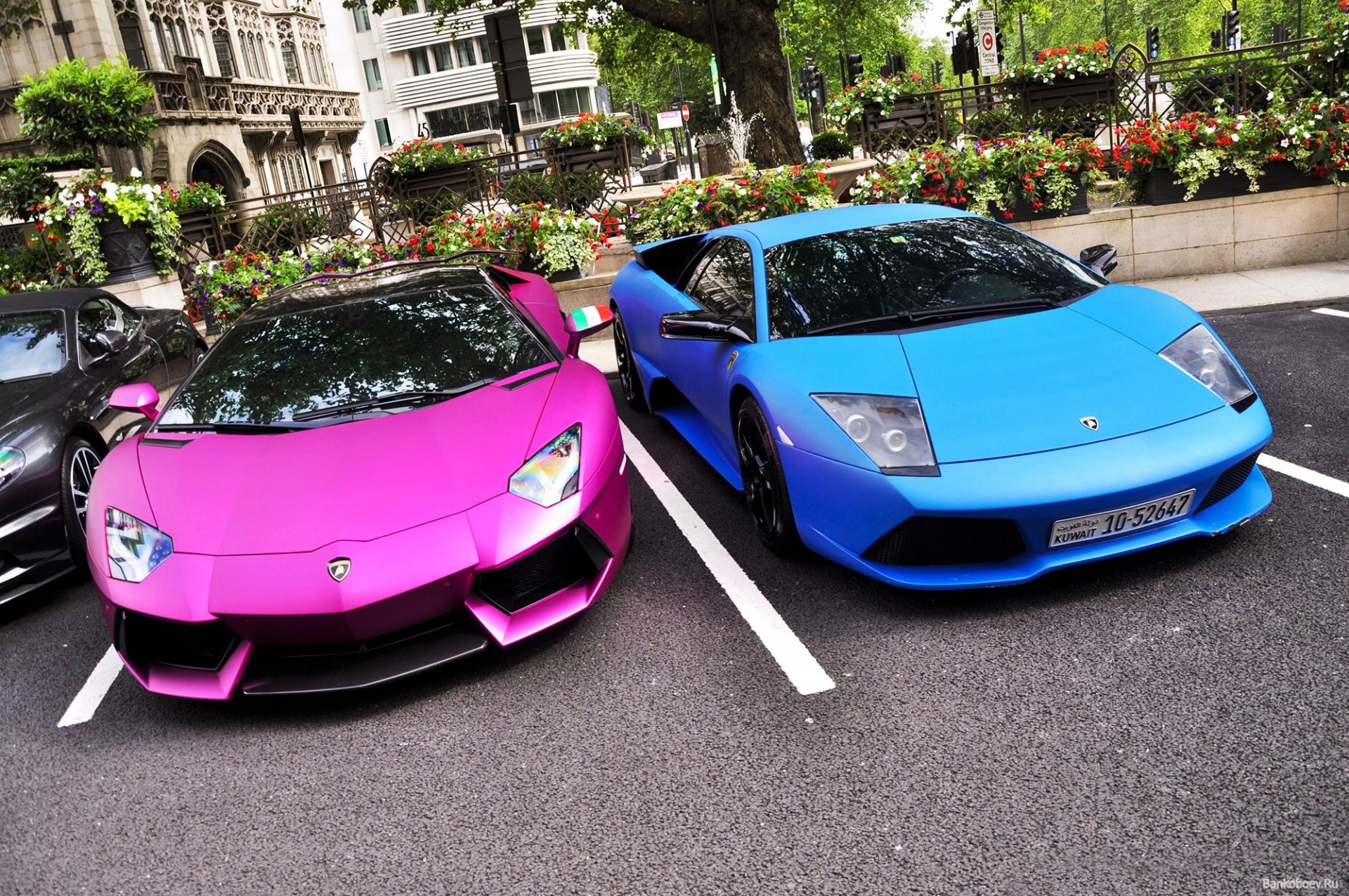 aventador lp700 - 4 lamborghini murcielago lp640 lamborghini supercars babes beauté