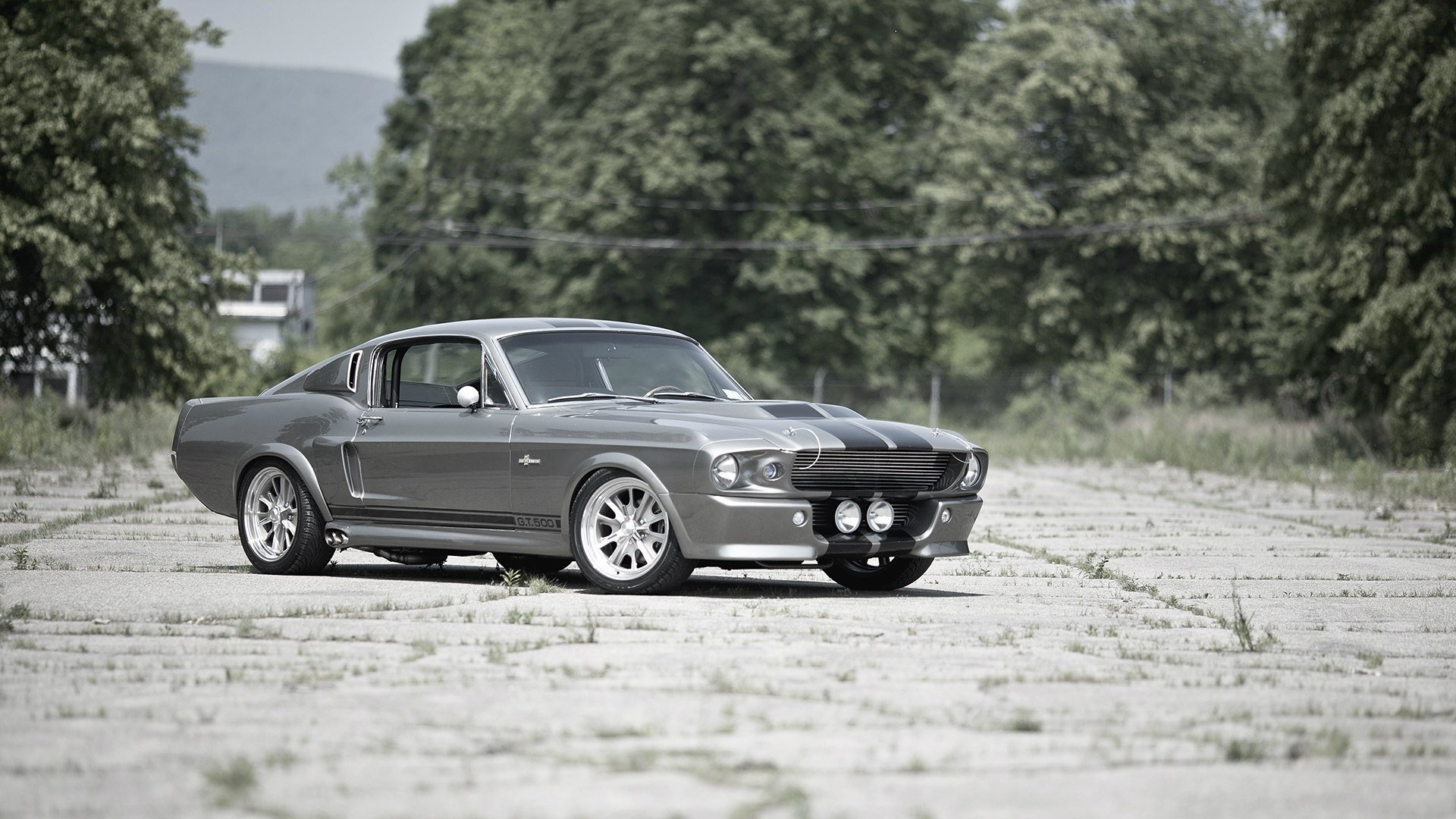 ford mustang gt500 shelby eleanor ford mustang messa a punto