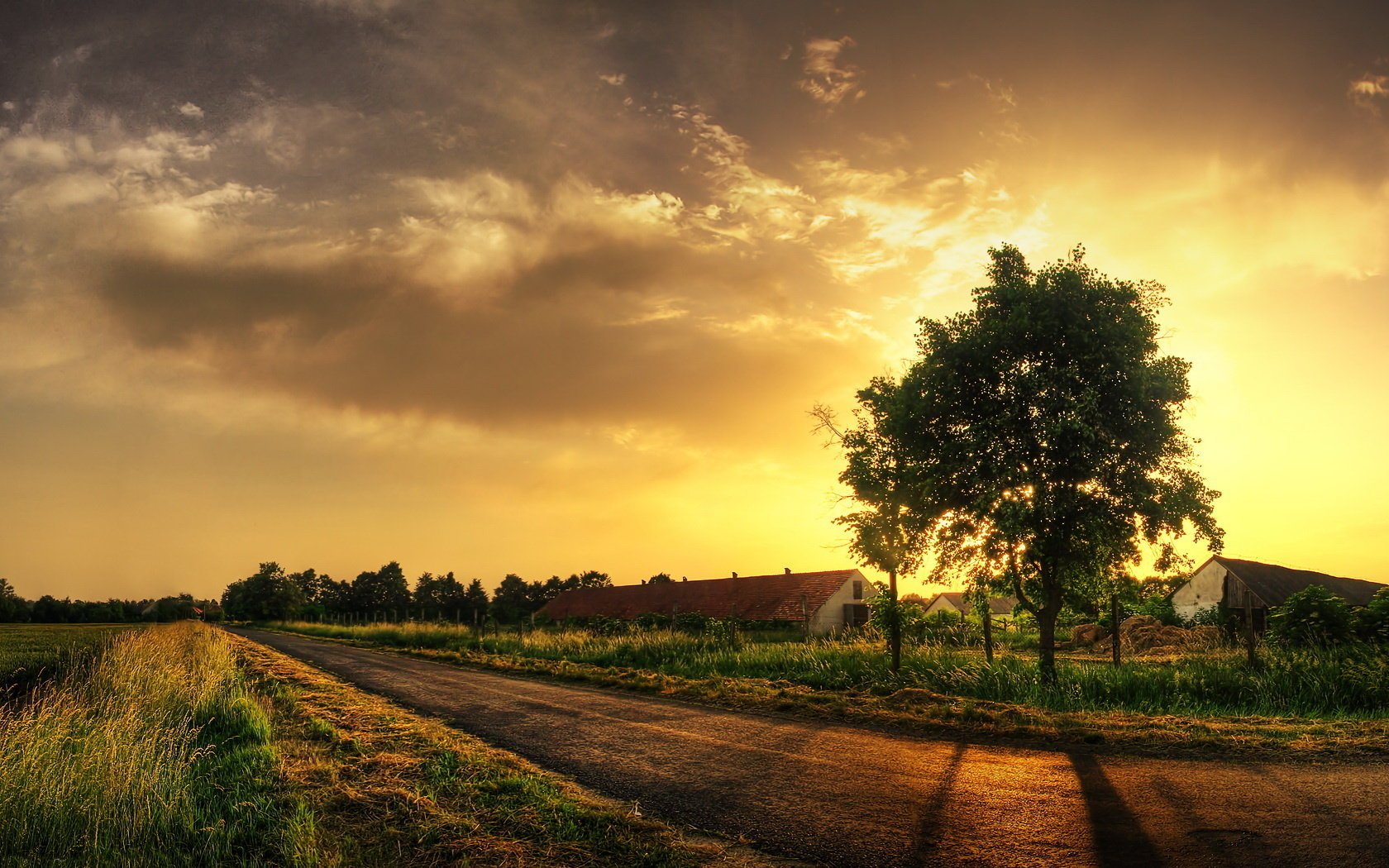 unset house road tree