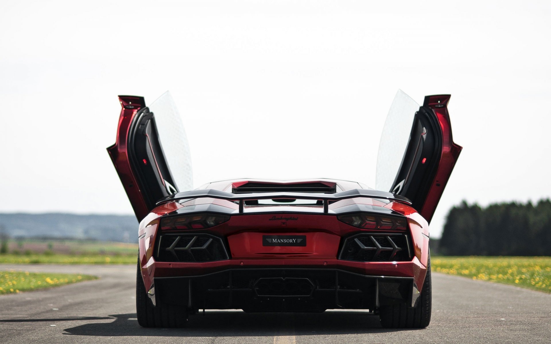 lamborghini aventador superdeportivo carretera botín puertas