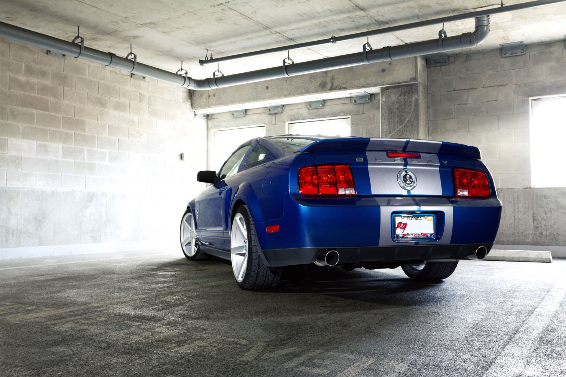 ford mustang gt500 shelby auto auto fondos de pantalla