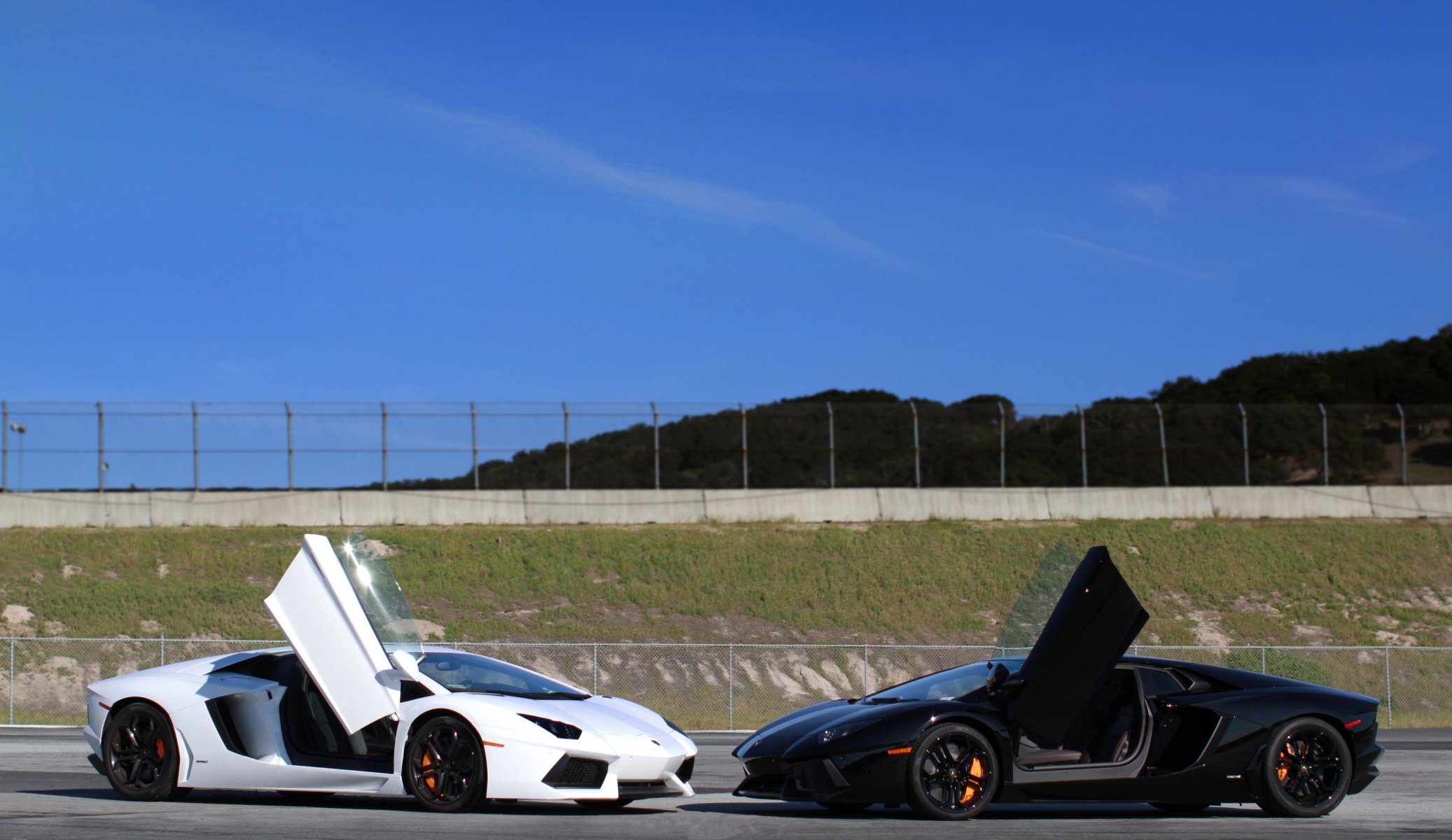 lamborghini aventador lp700-4 bianco nero lamborghini aventador rosso porta nillotina cielo