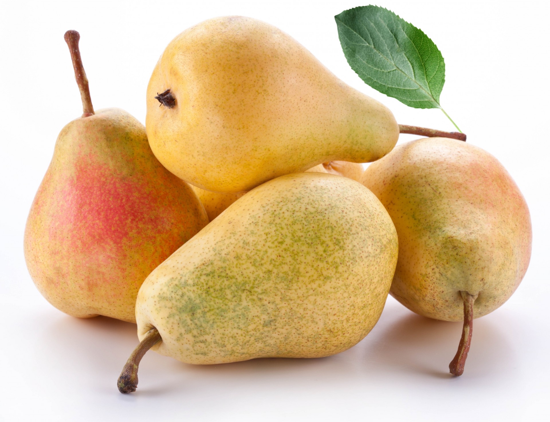 fruits white background pear