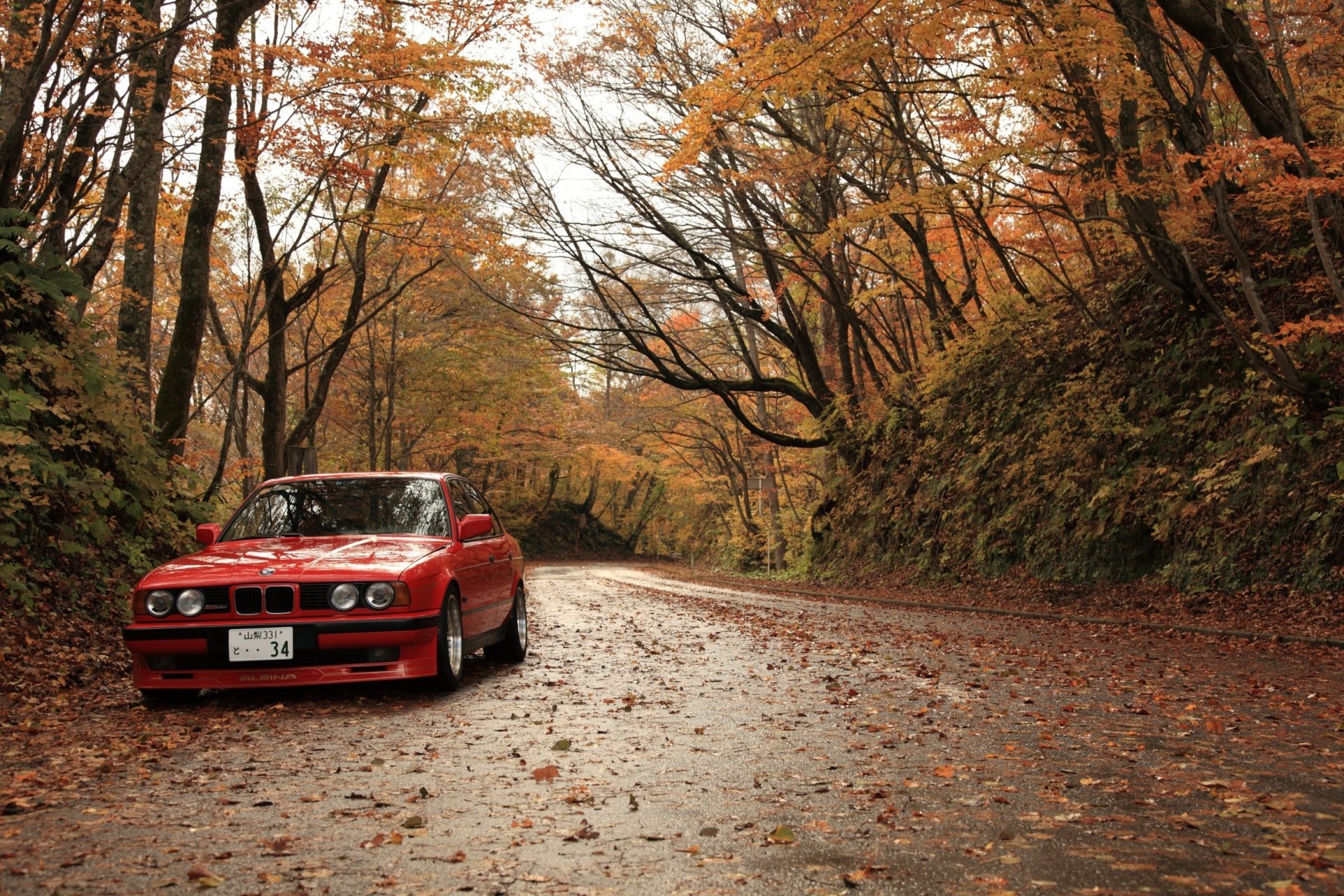 bmw . rojo bmw otoño hojas