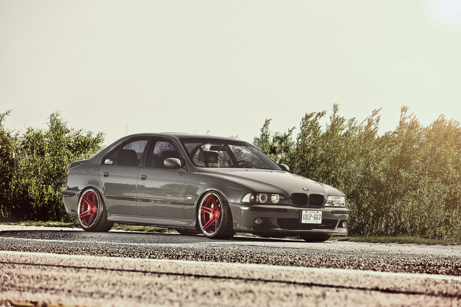 bmw serie 5 m5 e39 bmw cespugli abbagliamento