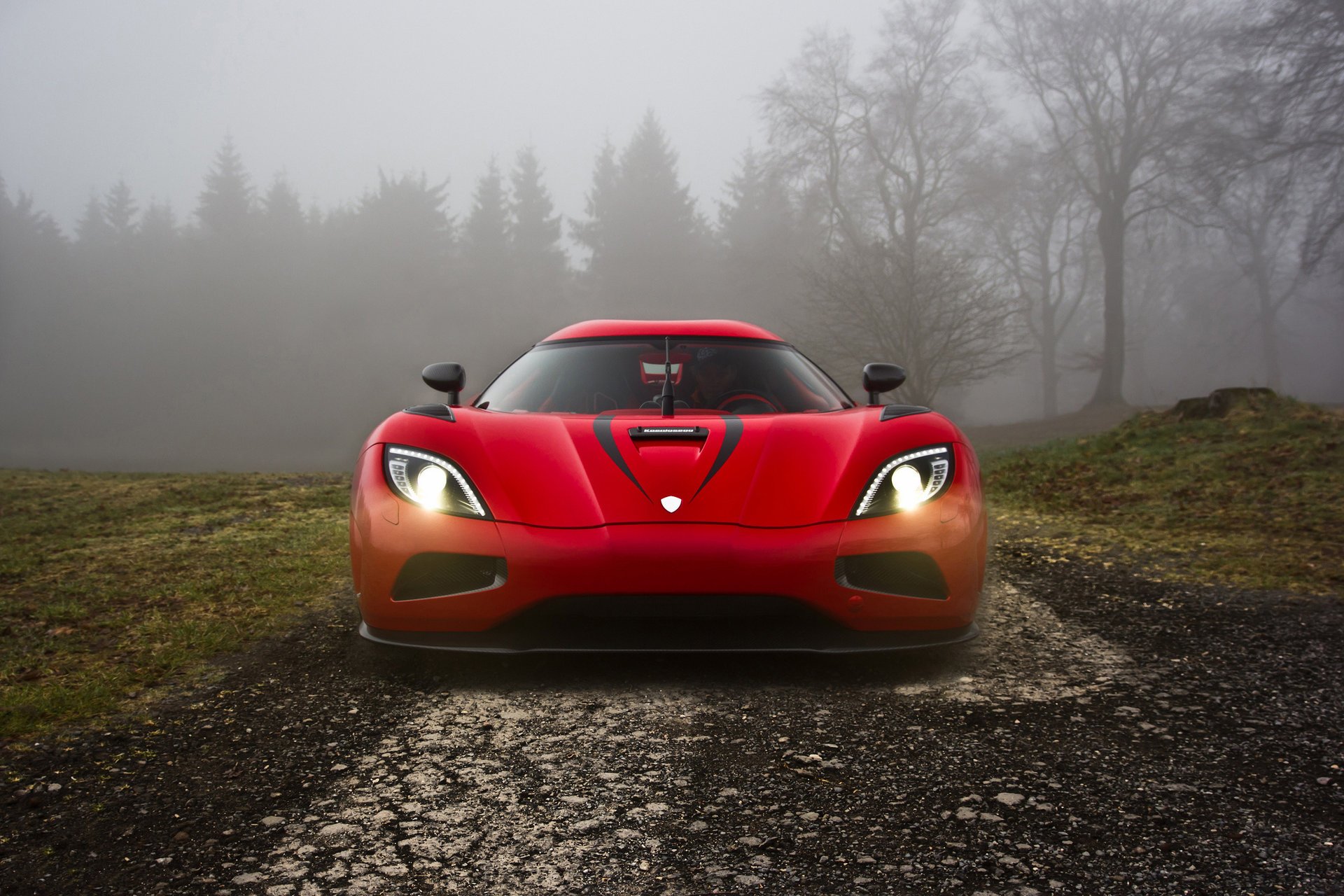 koenigsegg agerar alberi erba luce fari