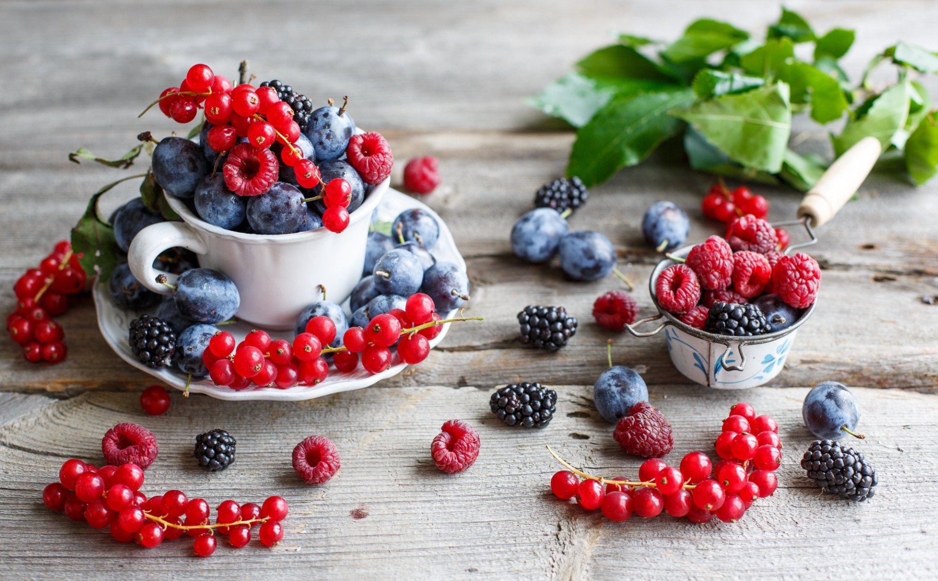 prunes baies groseilles rouges framboises mûres