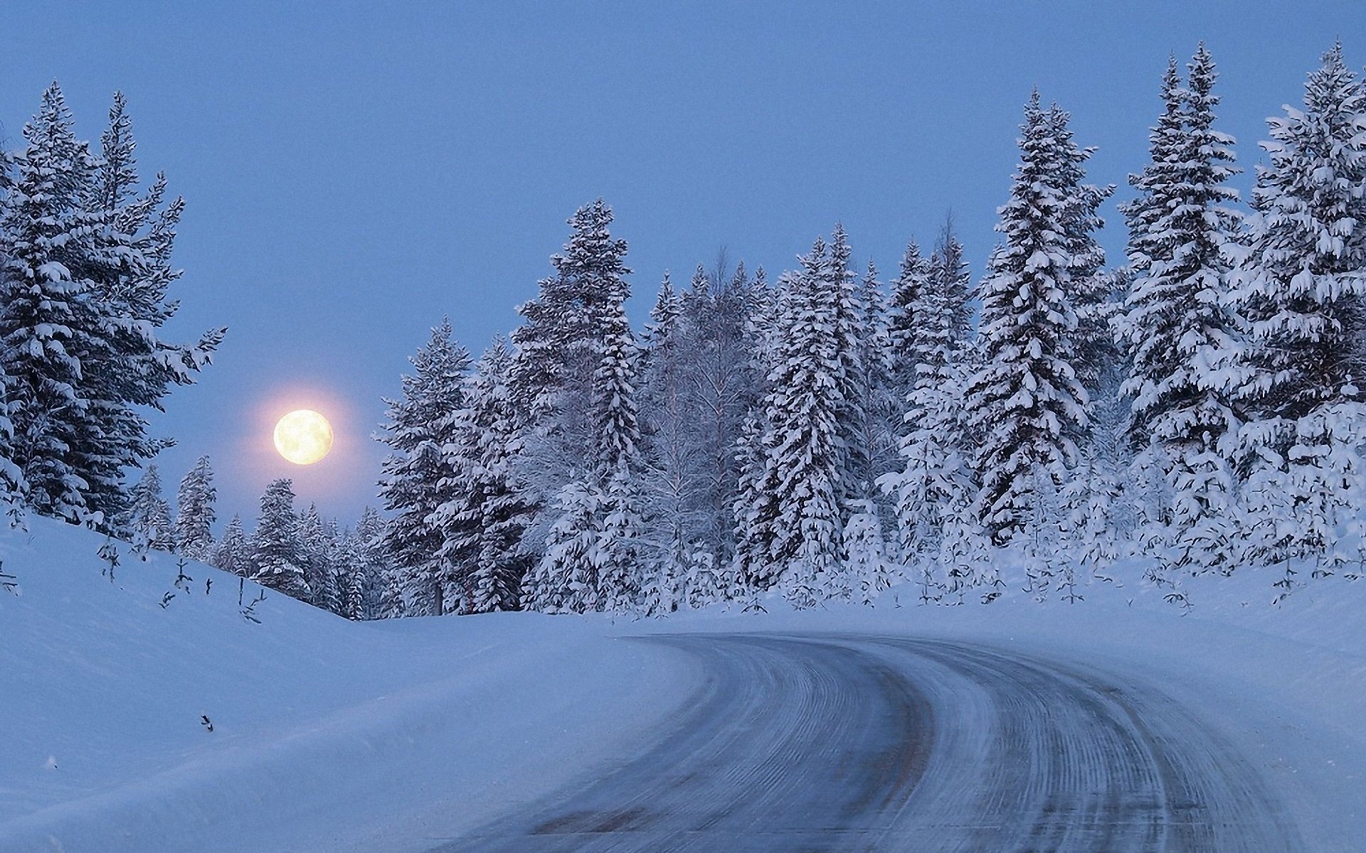 invierno nieve crepúsculo árboles luna bosque carretera